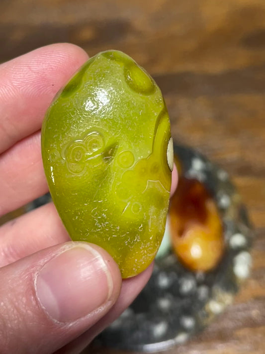 Gobi Desert Agate